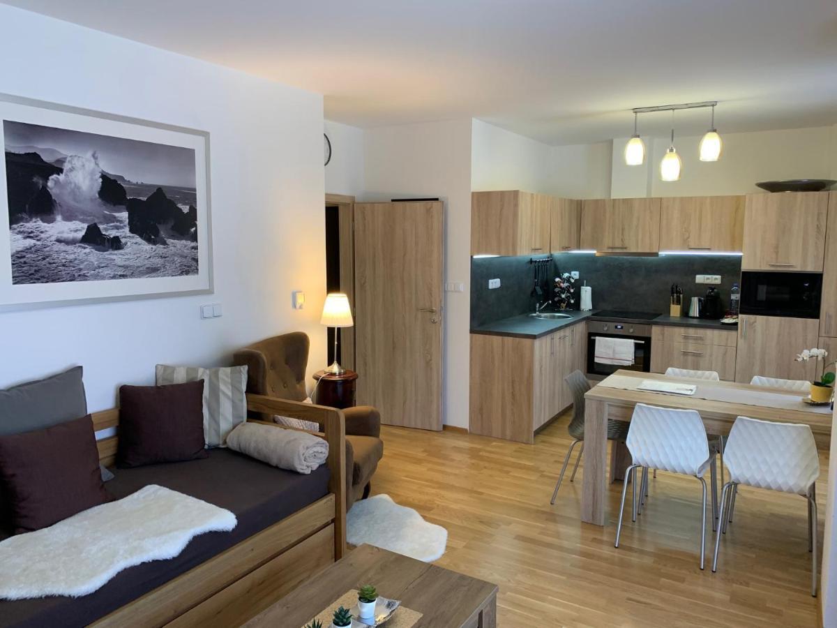 Apartment Rezidence - Javor & Wellness Zelezna Ruda Exterior photo