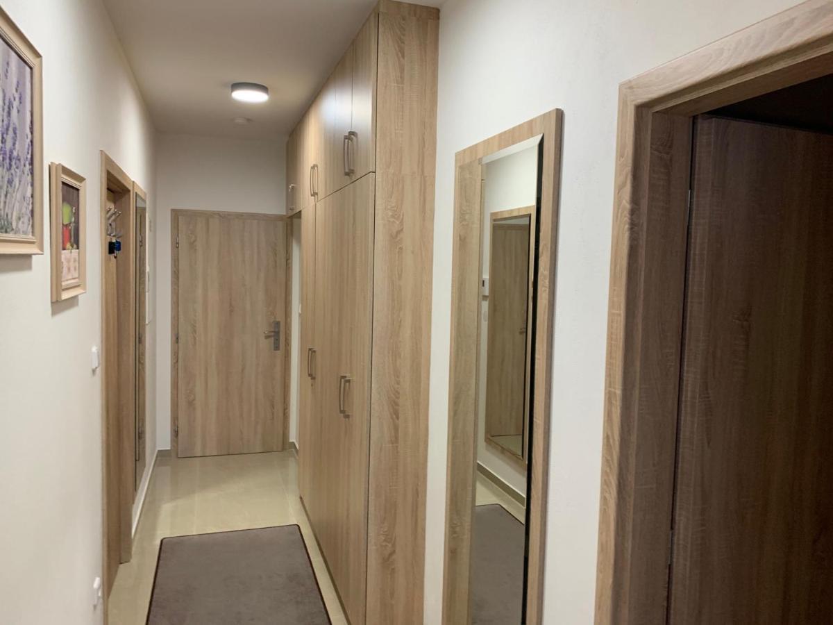 Apartment Rezidence - Javor & Wellness Zelezna Ruda Exterior photo