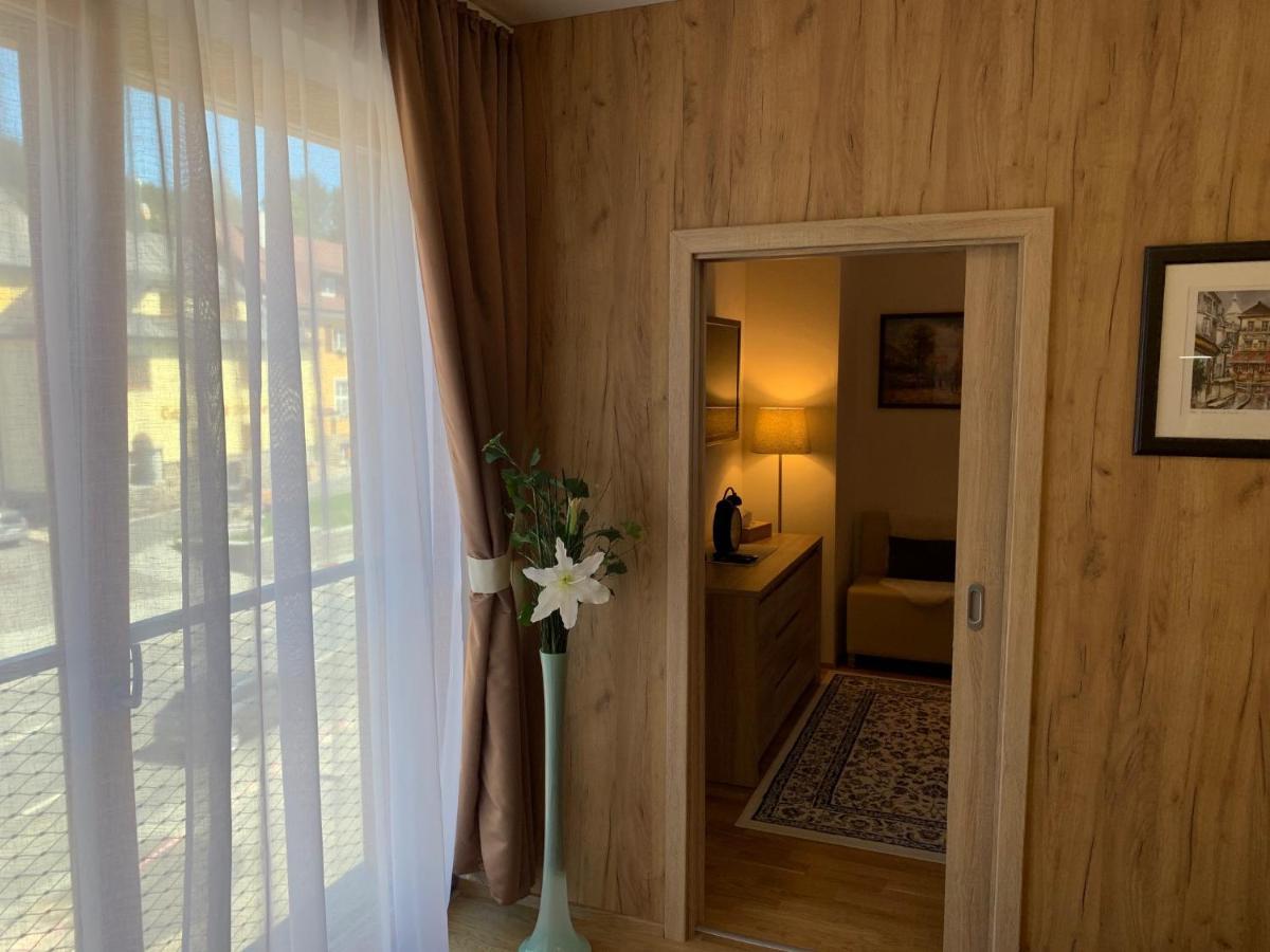 Apartment Rezidence - Javor & Wellness Zelezna Ruda Exterior photo
