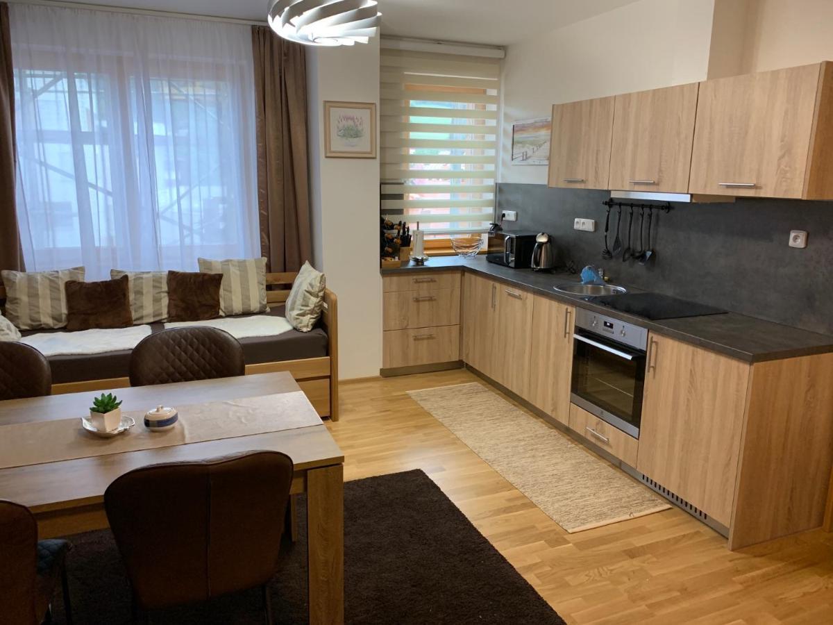 Apartment Rezidence - Javor & Wellness Zelezna Ruda Exterior photo