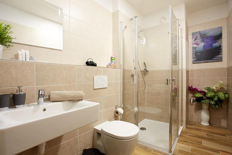 Apartment Rezidence - Javor & Wellness Zelezna Ruda Exterior photo