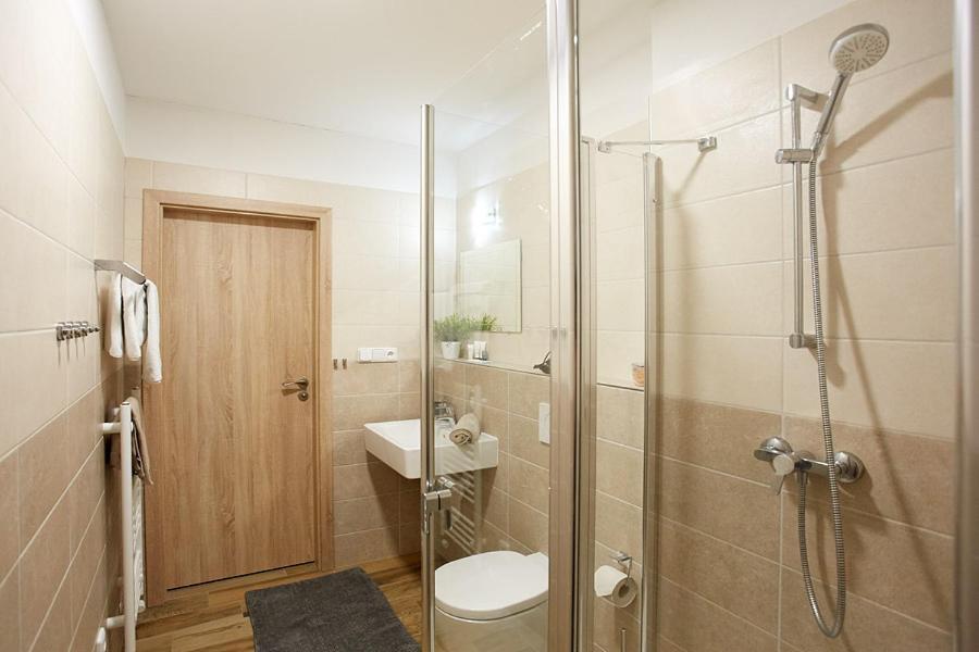 Apartment Rezidence - Javor & Wellness Zelezna Ruda Exterior photo