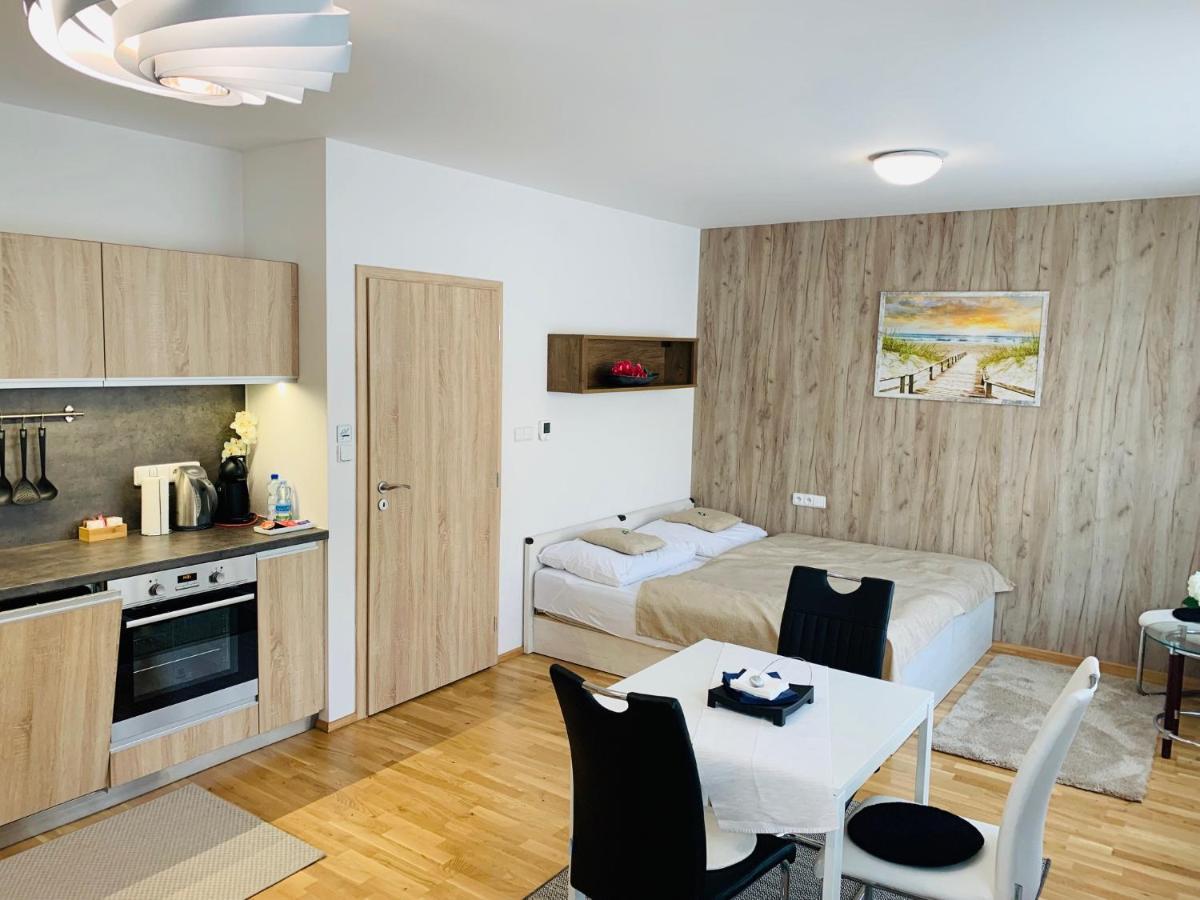 Apartment Rezidence - Javor & Wellness Zelezna Ruda Exterior photo